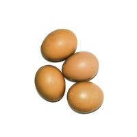 eggs isolated on white background photo
