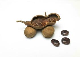 Tamarind, an Asian spice, isolated on a white background. photo