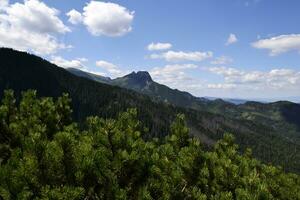 Stunning summer view in mountains Tatra, Poland. Blue sky, pine trees, spruce trees, peak photo