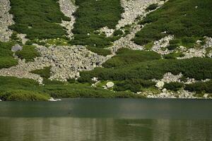 un 'zarco staw gasienicowy' lago en zakpane, Polonia. rocas, bosque, árboles, patos foto