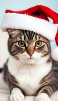 AI Generated cute cat wearing santa hat photo