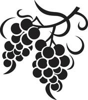 uvas en lleno color vector ilustración espectáculo vino y diseño uva vector arte