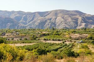 tierras de cultivo y jardines cerca pueblo en Armenia foto