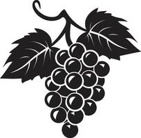 The Art of Grapes Vector Illustration Unveiled From Vine to Vector The Grapes Digital Transformation