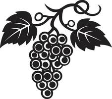 Vectorizing the Grape A Creative Showcase From Vine to Canvas Grape Vector Inspirations