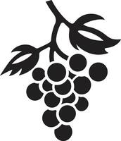 Vineyard Beauty in Vector Grape Illustration Extravaganza Sip and See Grape Vector Artistry on Display