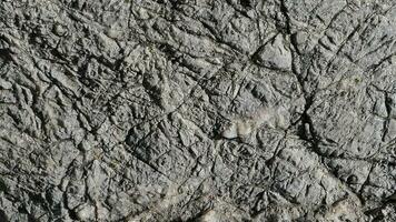 a close up of a rock with cracks and cracks photo