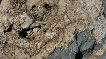 a close up of a rock with cracks and cracks photo