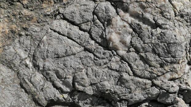 a close up of a rock with cracks and cracks photo