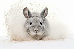 Photo of a chinchilla dust bathing in style. Generative AI