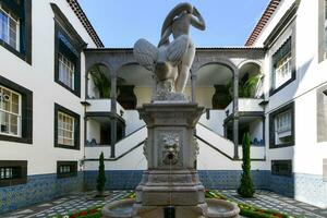 City Hall - Funchal, Portugal photo