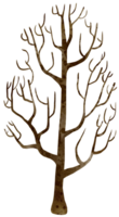 árbol forma acuarela png