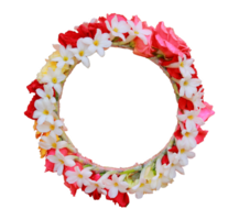 Colorful flower circle isolated on a transparent background with clipping path. png