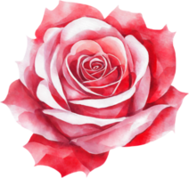 pink rose watercolor.AI Generated png