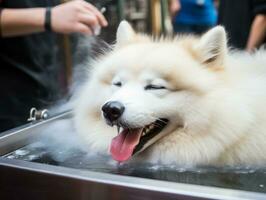 Serene dog enjoying a massage at a pet spa AI Generative photo