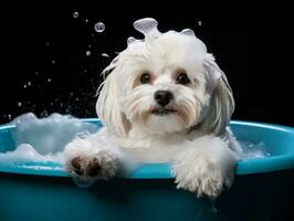 sereno perro disfrutando un masaje a un mascota spa ai generativo foto