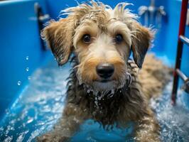 sereno perro disfrutando un masaje a un mascota spa ai generativo foto