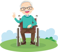 sedia a rotelle persone per anziano e portatori di handicap pazienti png
