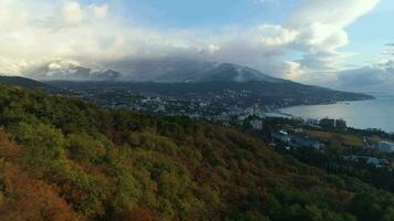 fliegend nach vorne Über Herbst Grün und rot Bäume gegenüber das Stadt. schneebedeckt Berge auf Hintergrund. Antenne Sicht. Vogel ist im rahmen. Festlegung Schuss. video