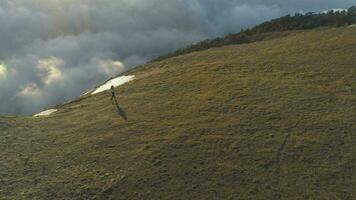 femme est le jogging au dessus rose des nuages le long de le bord de Montagne. aérien voir. video