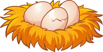 Cute animal cartoon little chicken from egg png