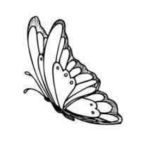 Vector drawing of Butterfly. Hand drawn linear illustration of flying insect in black and white colors. Vintage outline sketch for icon or logo painted by inks. Etching for greeting cards