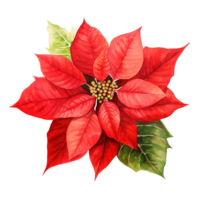 poinsettia fleur pour Noël événement. aquarelle style. ai généré png