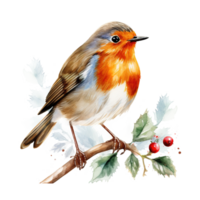 Robin Bird For Christmas Event. Watercolor Style. AI Generated png