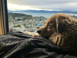 Pensive dog resting on a soft couch with a view of the city AI Generative photo