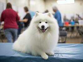 Well-behaved dog participating in a show, beautifully groomed AI Generative photo