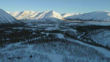 drone est en volant vers l'avant plus de conifère des arbres dans neigeux montagnes à haute altitude. caméra est basculant en haut. aérien voir. établissement coup video