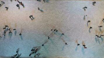 A crowd of people are skating on large illuminated ice rink in the evening. Christmas time. Aerial vertical top-down view. Drone is flying upward. Establishing revealing shot. video