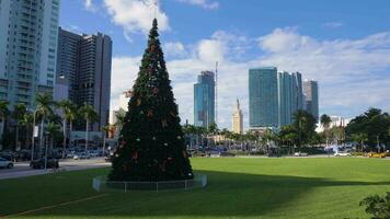Kerstmis boom in Miami binnenstad. Verenigde Staten van Amerika video