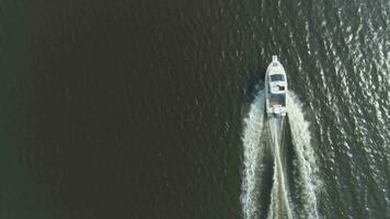 luxe la vitesse moteur bateau dans le mer à ensoleillé journée. aérien verticale de haut en bas voir. drone est en volant ascendant video