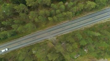 branco carro é em em linha reta estrada dentro verde floresta dentro Noruega dentro verão dia. aéreo vertical Careca visualizar. zangão é vôo lateralmente video