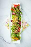 salad with greens, arugula, colored peppers and beets on a white plate top view photo