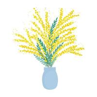 Mimosa flowers in a vase. Yellow flowers with leaves. Spring flowers. Floral composition. Vector illustration on a white background