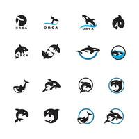 Orca icon and symbol vector template illustration