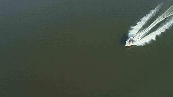 luxe la vitesse moteur bateau est croisière dans le mer à ensoleillé journée. aérien voir. drone est suivi le bateau, caméra est basculant bas. projecteur coup video