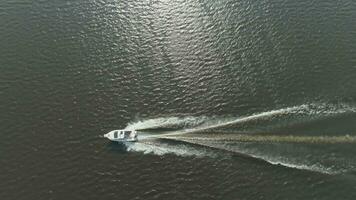 luxe la vitesse moteur bateau dans le mer à ensoleillé journée. aérien verticale de haut en bas voir. drone est en volant de côté à le la gauche video