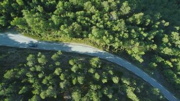 wit auto is gaan Aan land weg in groen Woud in Noorwegen in zomer dag. antenne verticaal ondersteboven visie. dar is vliegend zijwaarts video