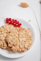 whole grain cookies with a sprig of red currants in a small white plate side view photo