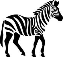 Zebra, Black and White Vector illustration