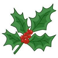 holly leaves decorative vector