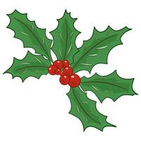 holly leaves decorative vector