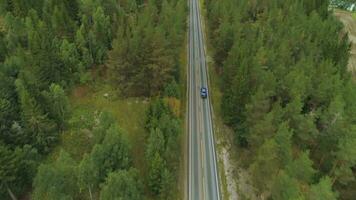 Blau Auto ist gehen auf Gerade Straße im Grün Wald im Norwegen im Sommer- Tag. Antenne Sicht. Drohne ist fliegend nach vorne, Kamera ist kippen hoch. verraten Schuss video