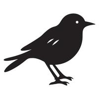 Bird black Silhouette bird vector