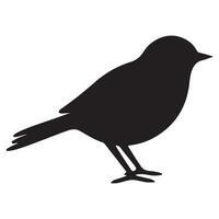 pájaro negro silueta pájaro vector