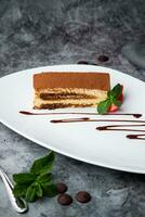 sponge cake filled with strawberries, mint and chocolate syrup on a white plate side view photo