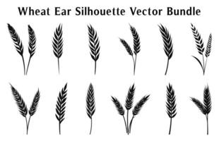 Wheat ears silhouette Vector illustration, Wheat grain spikes set